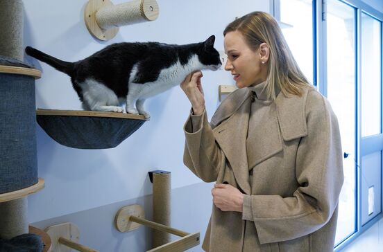 Charlene visita abrigo de animais e interage com um gato