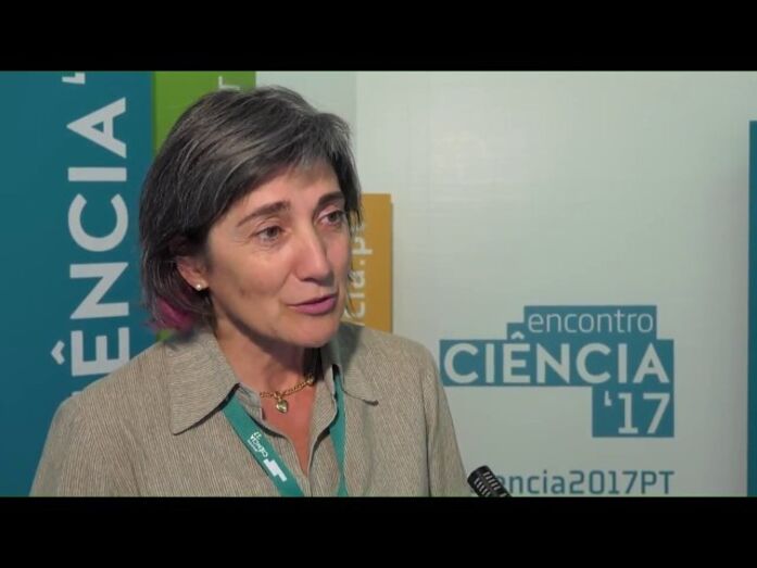 Teresa Pinto Correia