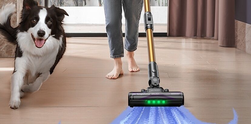 Aspirador sem fios em promoção limpa a casa com um cão por perto