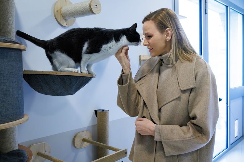 Charlene visita abrigo de animais e interage com um gato