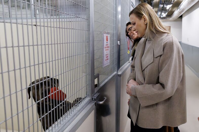 Charlene visitou abrigo para animais e interagiu com cães à espera de adoção