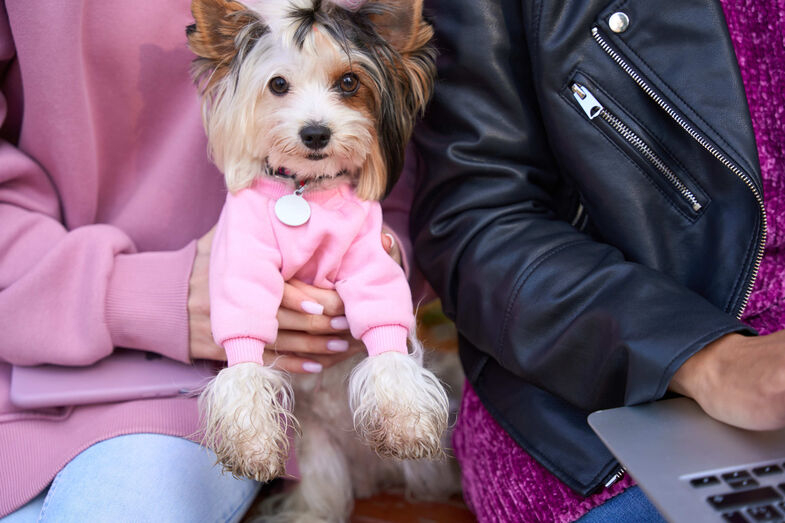 Louis Vuitton, DOGUE e Adidas: 2025 foi o ano em que as marcas se renderam aos patudos