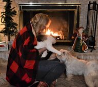 Mantas elétricas, lareiras e patudos. O que deve fazer para evitar sustos no inverno?