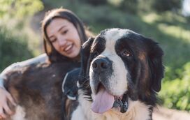 Gosta de cães grandes? Conheça 5 das maiores raças do Mundo