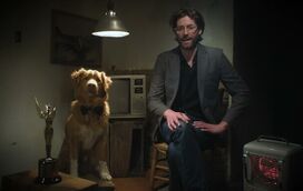 Surpreendente: Indy é o primeiro animal a vencer um prémio como ator e até ultrapassou nomes como Ethan Hawke