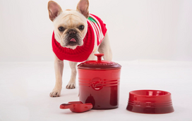 Com estilo também na hora de comer: Pet Collection é a aposta da Le Creuset para tutores apaixonados por design