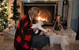 Quer ter a casa quentinha mas sem por o seu patudo em risco? Então estas dicas são para si!