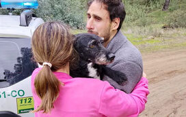 A história emocionante de Boro: o cão que estava desaparecido e que sobreviveu à colisão dos dois comboios em Adamuz