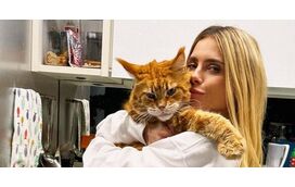 Um gato que é um verdadeiro fenómeno! Carolina Dieckmmann deixa os fãs em êxtase com o seu amigo "gigante"