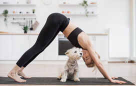 Respirar, alongar e relaxar... pet friendly. Vamos a uma sessão de Doggy Yoga para apoiar a União Zoófila