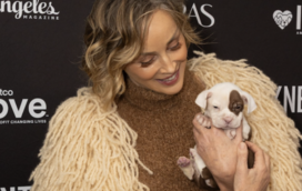 Cadela encanta Sharon Stone na passadeira vermelha e acaba por ir com a atriz para casa. Conheça a história de Mo, a nova amiga da estrela de Hollywood