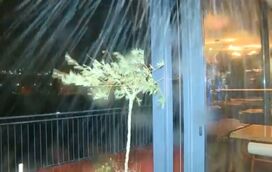 Vento forte em Coimbra "impossibilita" equipa da CMTV de fazer reportagem no exterior