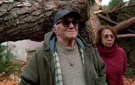 As imagens da destruição da casa de José Cid após a queda de uma árvore centenária durante a tempestade desta madrugada