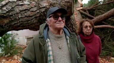 "Árvore caiu a cinco metros da cama da minha filha": Palacete de José Cid muito danificado devido ao mau tempo