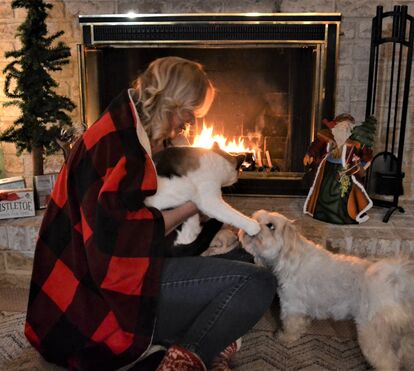 Quer ter a casa quentinha mas sem por o seu patudo em risco? Então estas dicas são para si!