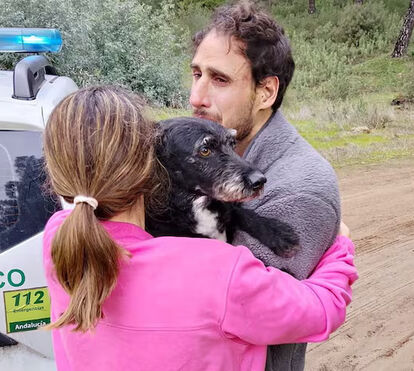 A história emocionante de Boro: o cão que estava desaparecido e que sobreviveu à colisão dos dois comboios em Adamuz