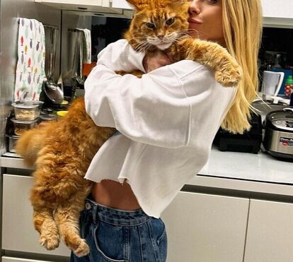 Um gato que é um verdadeiro fenómeno! Carolina Dieckmmann deixa os fãs em êxtase com o seu amigo 'gigante'