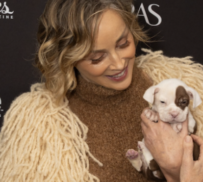 Cadela encanta Sharon Stone na passadeira vermelha e acaba por ir com a atriz para casa. Conheça a história de Mo, a nova amiga da estrela de Hollywood