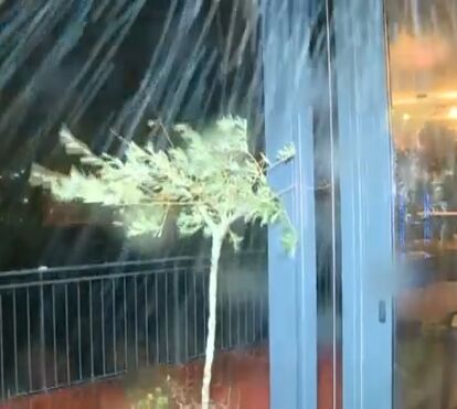 Vento forte em Coimbra 'impossibilita' equipa da CMTV de fazer reportagem no exterior