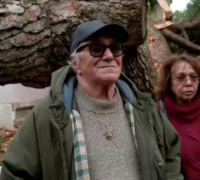 As imagens da destruição da casa de José Cid após a queda de uma árvore centenária durante a tempestade desta madrugada