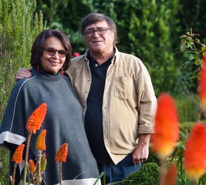 “Há coisas que não consigo explicar”: o milagre na casa de José Cid após a queda do pinheiro que destruiu parte do palacete