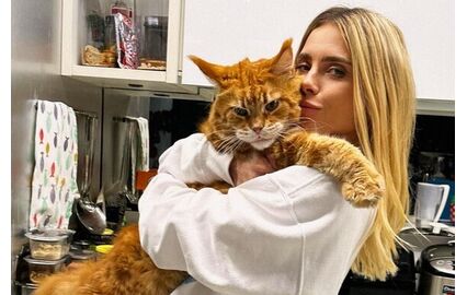 Quase do tamanho da dona! Gato gigante de Carolina Dieckmmann enlouquece os fãs