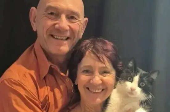 Uma história incrível! Conheça o Filou, o gato que andou 250 km para reencontrar os donos