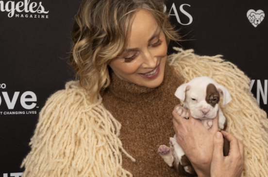 Sharon Stone foi a uma gala de prémios e voltou com um cão. Conheça a cadelinha Mo