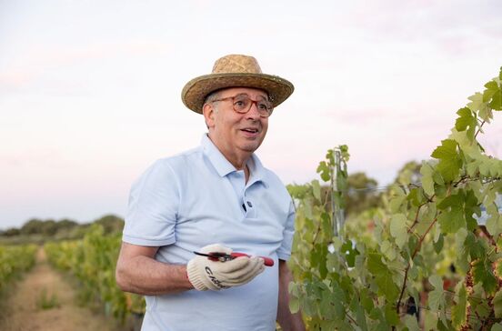 António José Seguro produz vinho e azeite na sua quinta