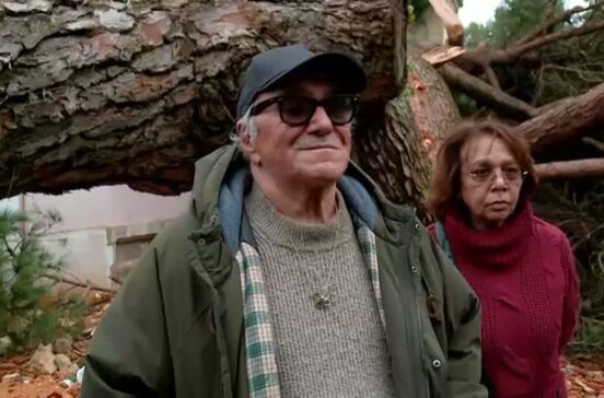 'Árvore caiu a cinco metros da cama da minha filha': Palacete de José Cid muito danificado devido ao mau tempo