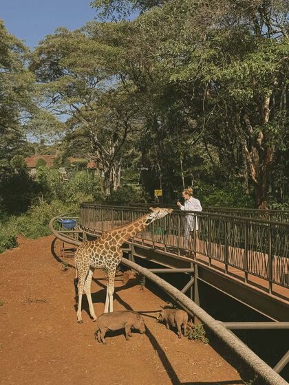 A viagem de Cristina Ferreira e João Monteiro ao Quénia