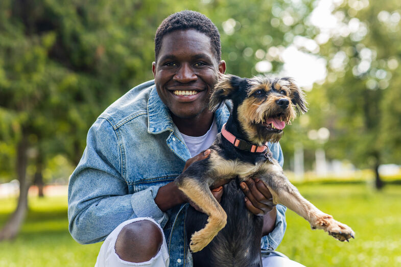 Conheça o Pawseum, o ‘idealista dos animais’ que quer facilitar a adoção em Portugal