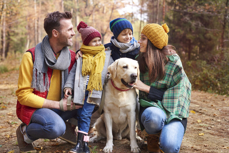Pavilhão do Conhecimento dedica fim de semana à "Saúde pa’tudos". E os animais também participam