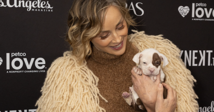 Sharon Stone foi a uma gala de prémios e voltou com um cão. Conheça a cadelinha Mo