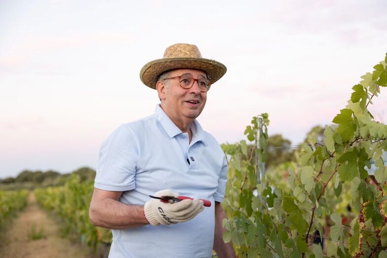 António José Seguro produz vinho e azeite na sua quinta