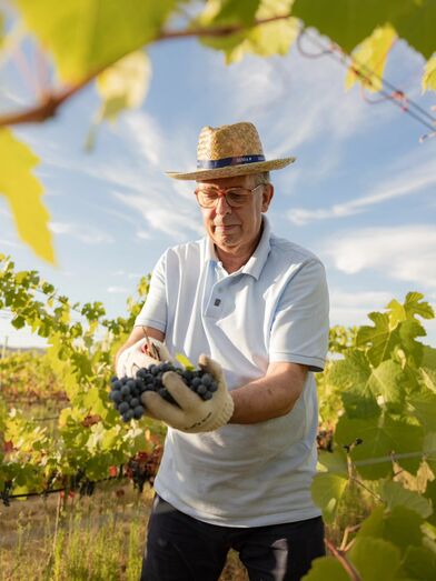 António José Seguro, Tozé, produz vinho e azeite na sua quinta