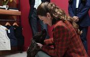 Kate Middleton encontra cão Barney no País de Gales e revela novo membro familiar