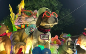 Cão Orelha é homenageado em desfile da Mocidade no Carnaval do Rio
