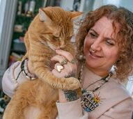 Na Alemanha há um gato na mira das autoridades por… miar demais