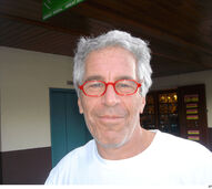 Jeffrey Epstein: professor de matemática, consultor e acusado de crimes financeiros