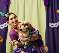 Folia sim, stress não! Saiba o que fazer para manter os seus pets seguros no Carnaval