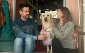 Sakura, a “cadela bibliotecária” que está a mudar a forma como as crianças aprendem a ler