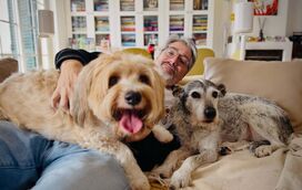 Finalmente o reencontro! Nuno Markl sai do hospital e volta para casa e para as "patas" de Chiclete e Flor