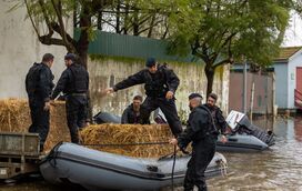 Os animais não ficam para trás! Marinha e bombeiros de Salvaterra de Magos alimentam dezenas de pets isolados no Tejo