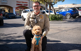 História emocionante. Cão deixado de forma violenta no aeroporto de Las Vegas é resgatado por uma nova família