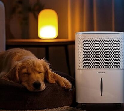 O desumidificador topo de gama que está com 30% de desconto e que precisamos para a nossa casa