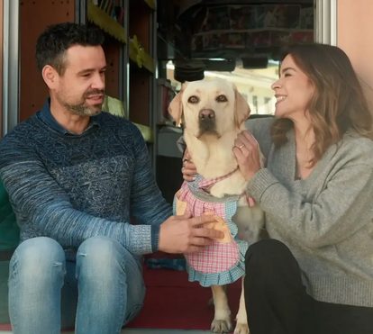 Sakura, a “cadela bibliotecária” que está a mudar a forma como as crianças aprendem a ler