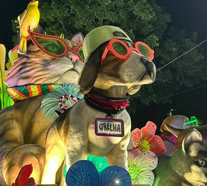 Do sofrimento à avenida: Carnaval faz homenagem a Orelha, o cão símbolo contra maus-tratos que comoveu o Brasil