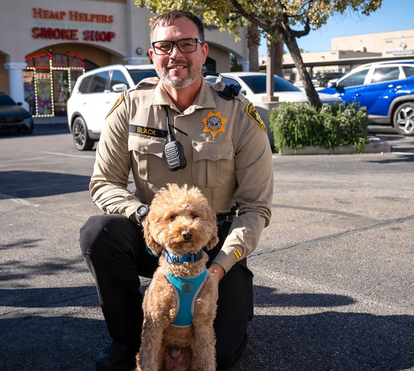 História emocionante. Cão deixado de forma violenta no aeroporto de Las Vegas é resgatado por uma nova família