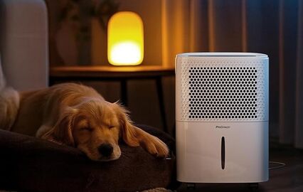 Desumidificador com 30% de desconto resolve humidade em casa